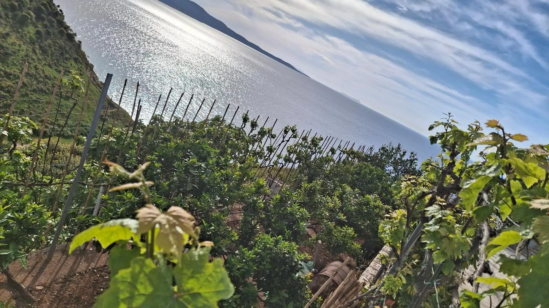 Villa Dori Sarande Albania
