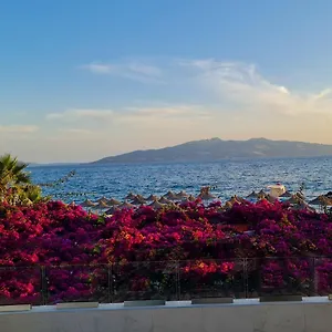 4 On The Bay Sarande